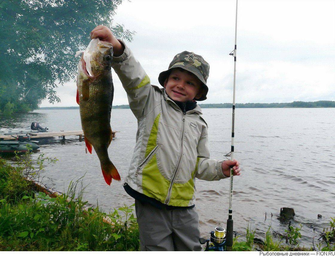 Рыбалка в новгородской области - озера, реки, отчеты 2021, группы вк