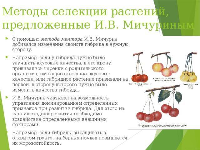 Рыбалка в ростовской области: места и отзывы