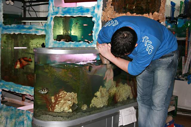 Подробная инструкция: как ухаживать за рыбками в аквариуме. особенности и рекомендации :: syl.ru