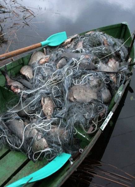 Штраф за ловлю рыбы сетями в 2021 году: размер и сумма наказания, как оплачивать