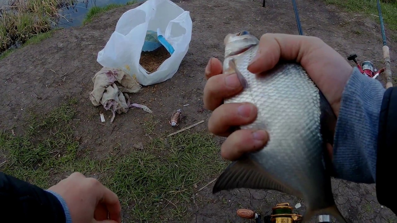 Рыбалка на пенопласт и детали подготовки снасти. ловля на пенопласт — выбор снасти и прикормки