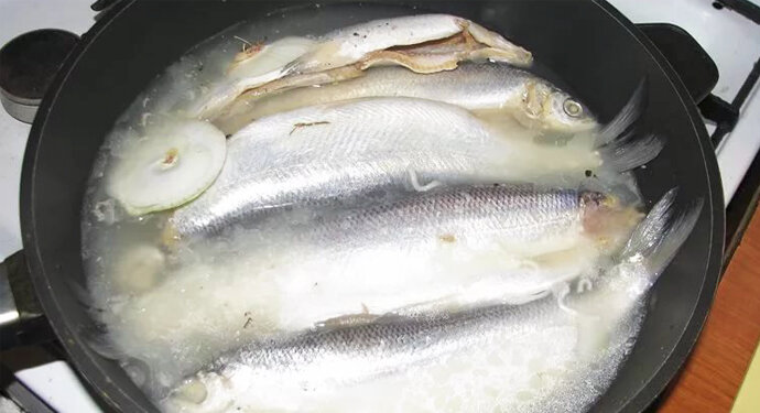 Как засолить красную рыбу дома ? - пошаговые рецепты и подготовка