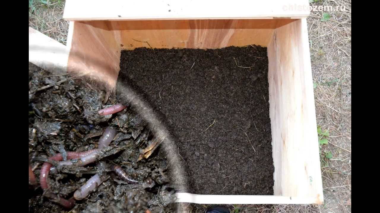 Разведение червей и получение биогумуса