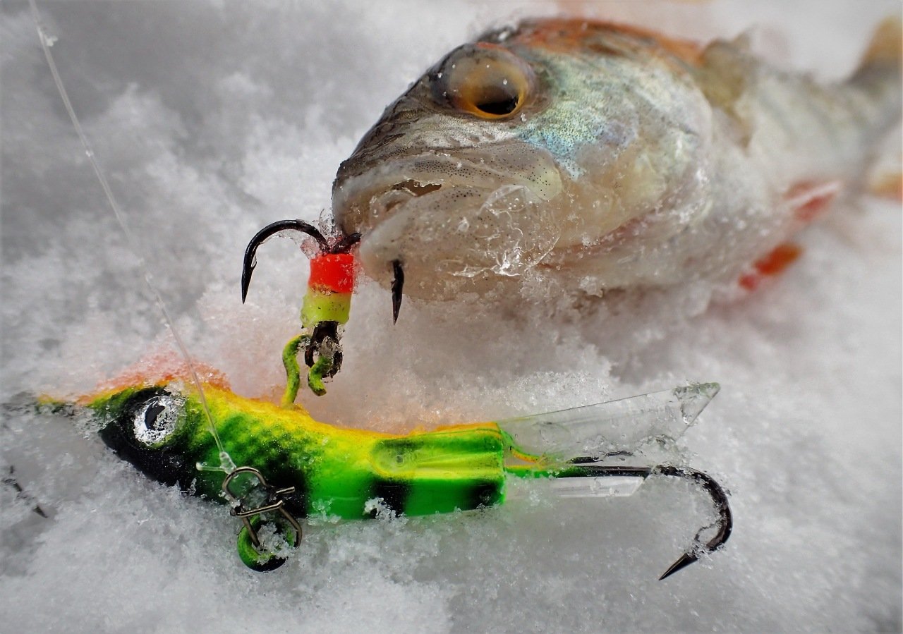Ратлины для зимней рыбалки: как правильно ловить на вибы зимой, уловистые раттлины на щуку, окуня, судака
