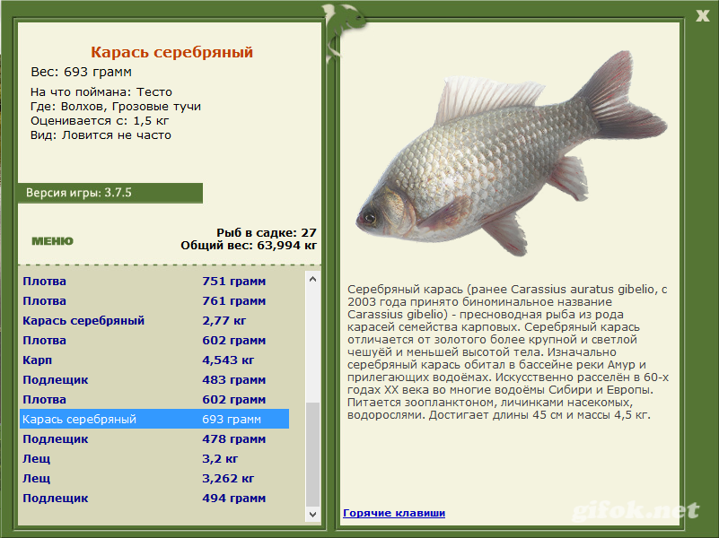 Карась серебряный: описание рыбы, где обитает, рекорды размера и веса, на что ловить, фото