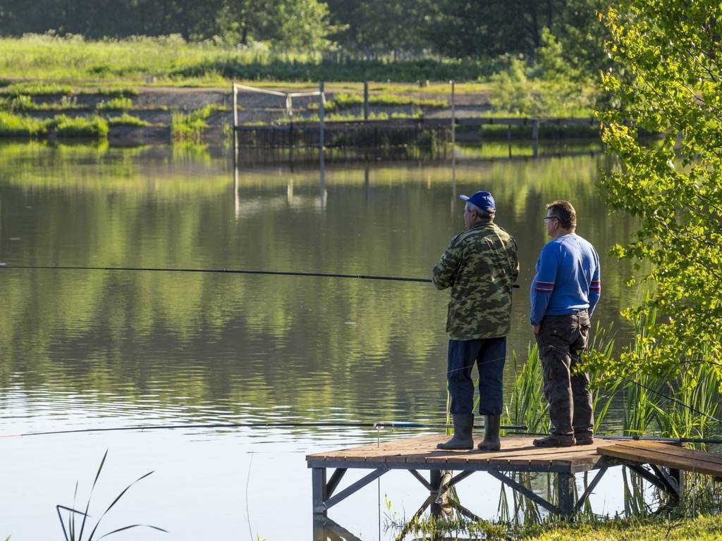 Рыбалка в брянской области: лучшие места на карте топ-10