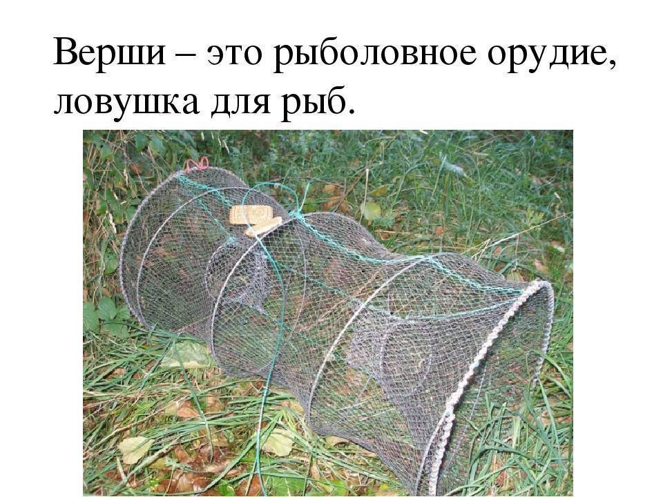 Как сделать морду для ловли рыбы своими руками. Смотреть фото Как сделать морду для ловли рыбы своими руками. Смотреть картинку Как сделать морду для ловли рыбы своими руками. Картинка про Как сделать морду для ловли рыбы своими руками. Фото Как сделать морду для ловли рыбы своими руками