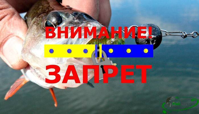 Нерестовый запрет 2021. московская область. новый закон о рыбалке