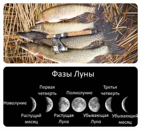 Лунный календарь рыбака на 2021 год. общие правила, особенности клева по лунному календарю.