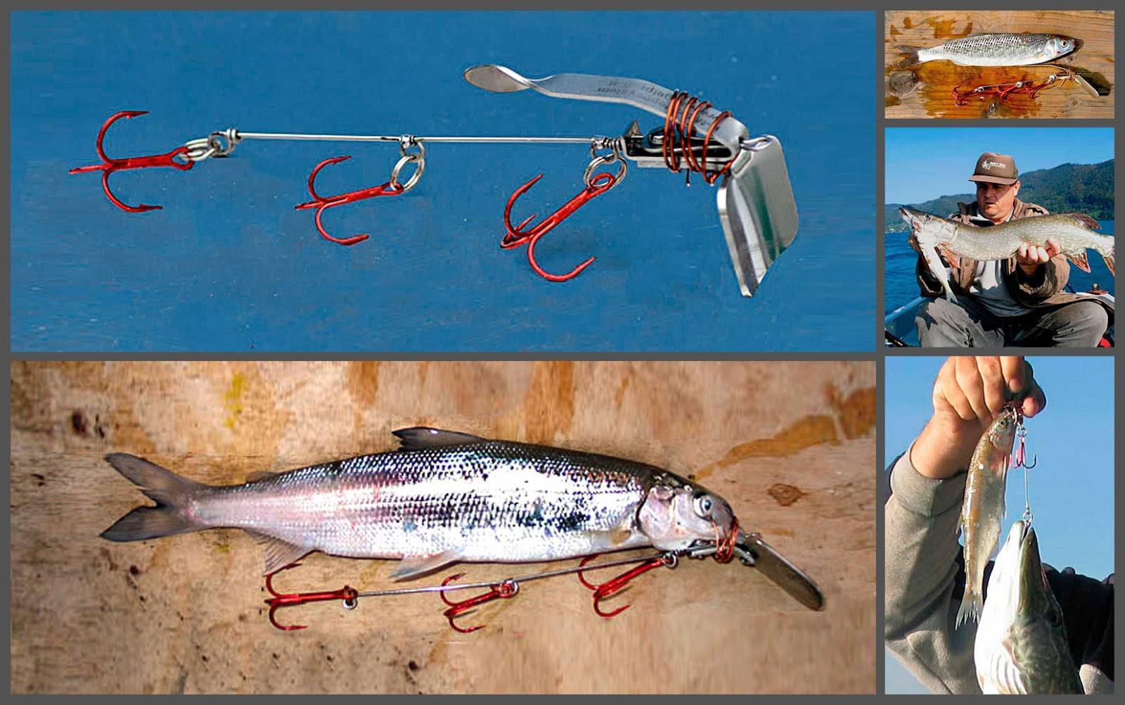 Снасти для ловли рыбы на реке: советы бывалым