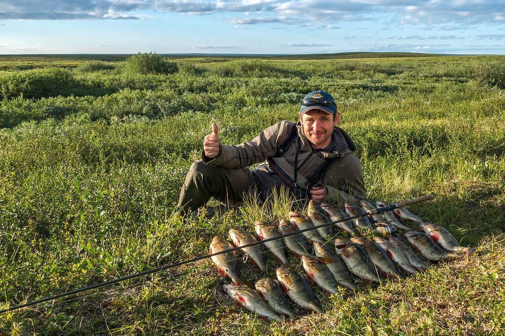15 лучших рыболовных мест в тульской области. бесплатные и платные | животный мир