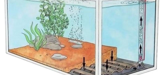 Донный фильтр для колодца: нужен ли, как сделать своими руками