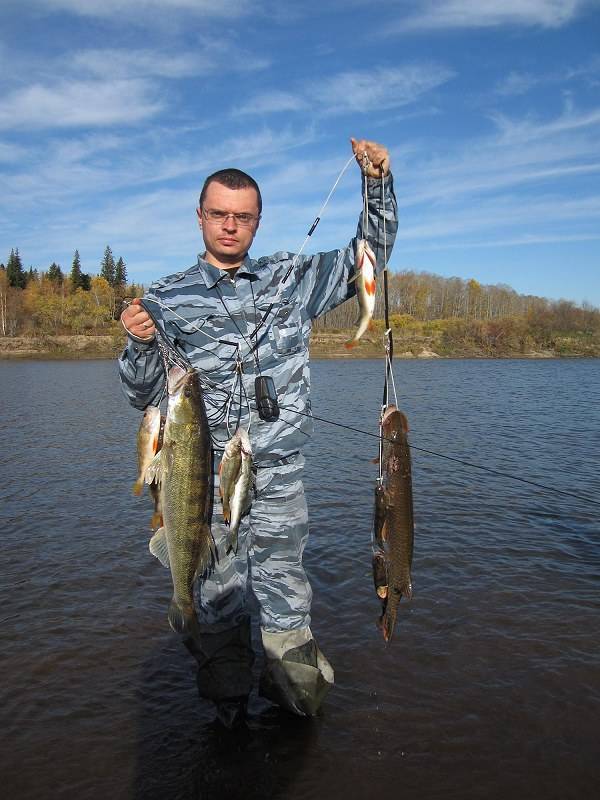 Кемеровская рыбалка: водоёмы кузбасса, платная и бесплатная рыбалка в области