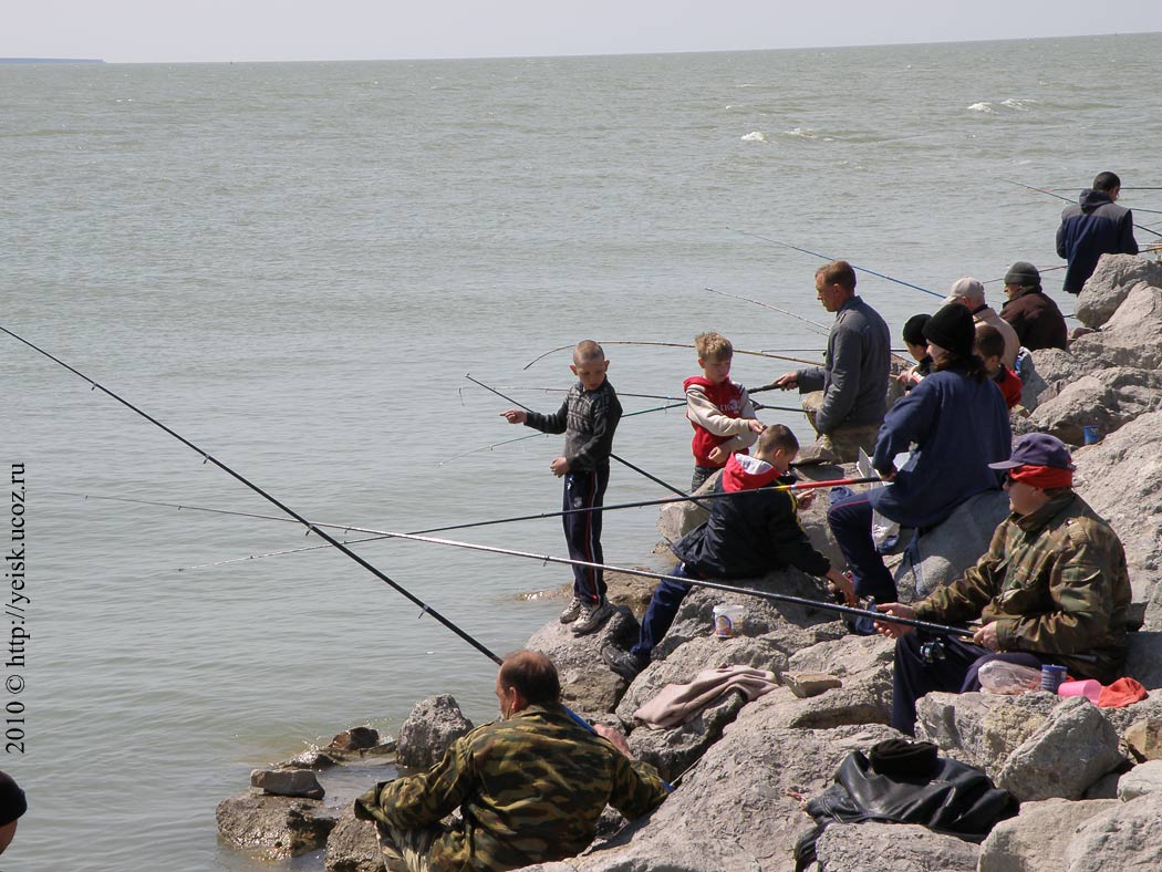 Зимняя рыбалка с берега на азовском море фото видео