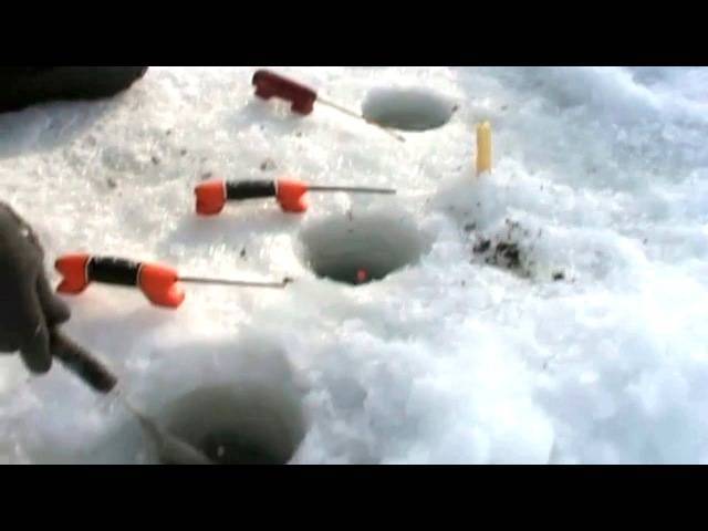 Ловля леща по последнему льду. видео | как поймать?