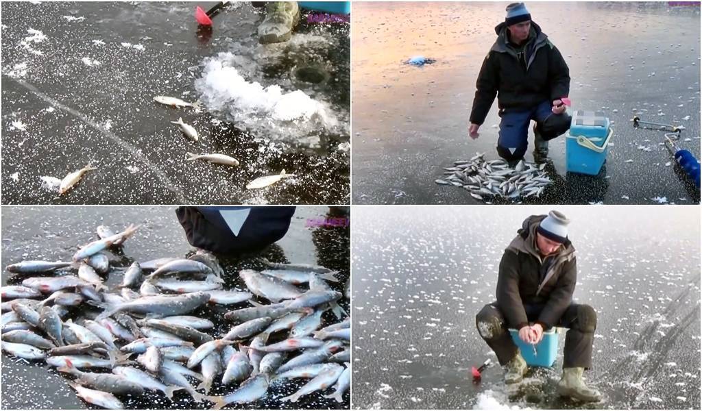 Чемпион россии по ловле на поплавок снял в строгине передачу о рыбалке