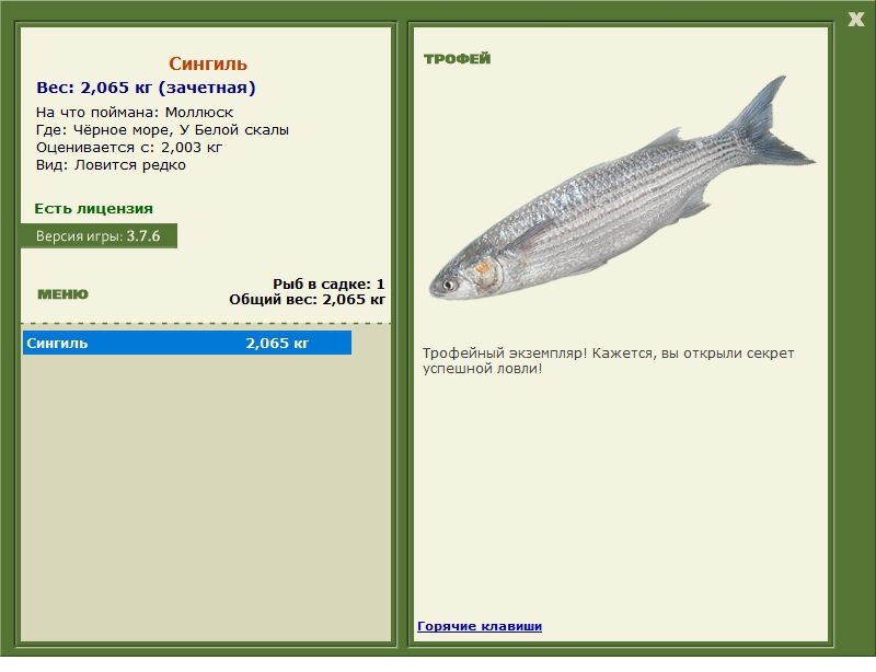 Голавль фото и описание – каталог рыб, смотреть онлайн