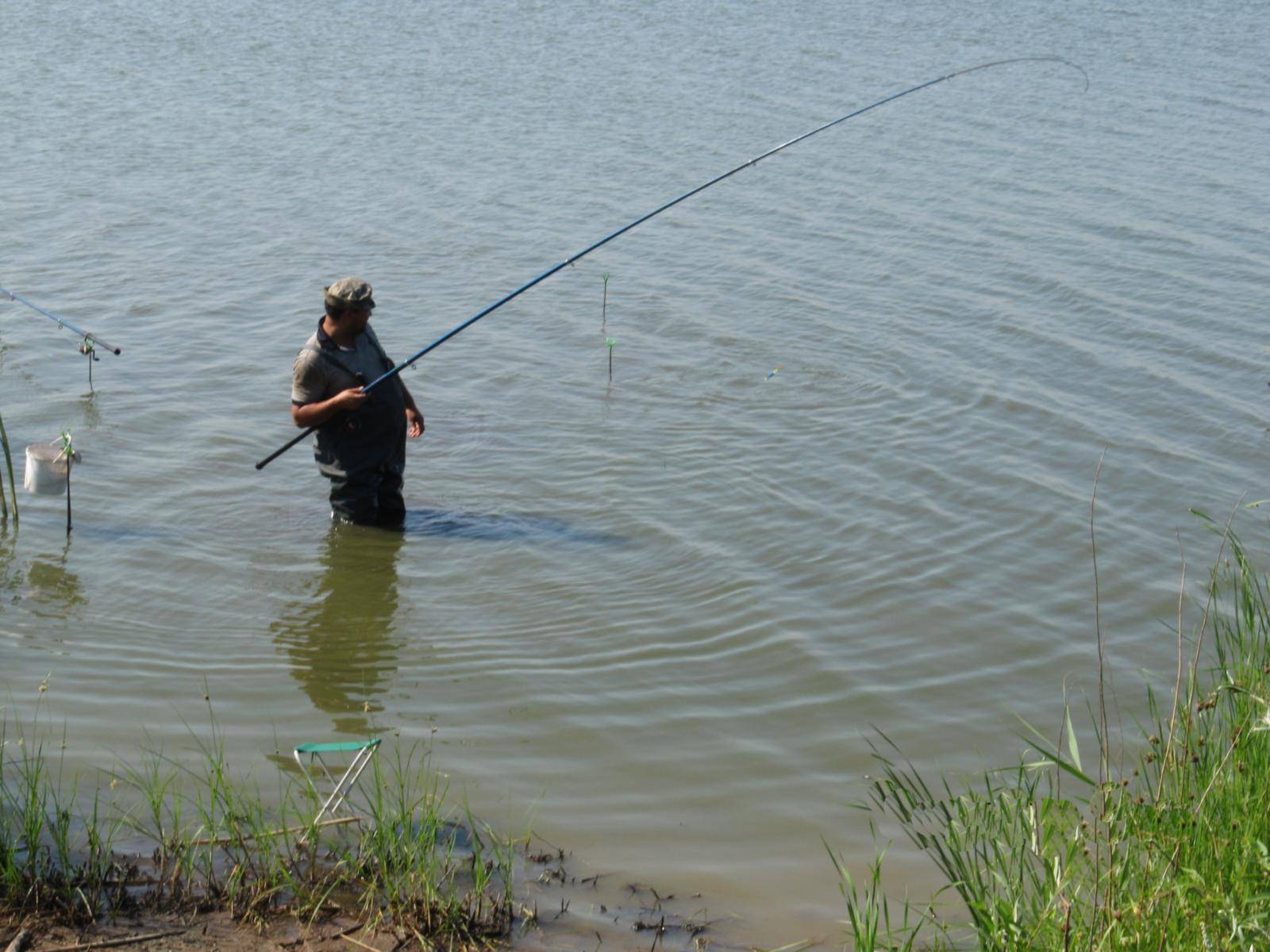 Места для рыбалки в самарской области – платная и бесплатная рыбалка!
