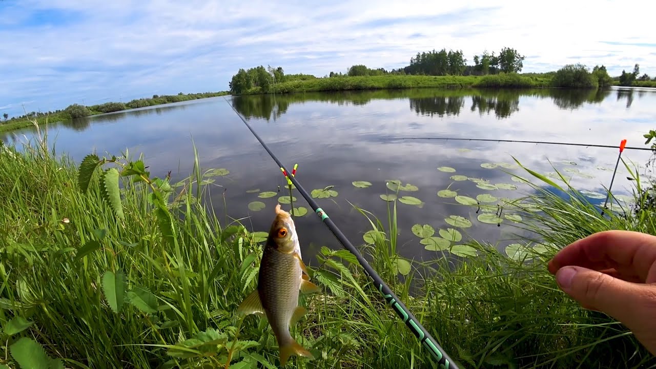 Зимняя рыбалка в ростове и ростовской области на озерах и реках фото