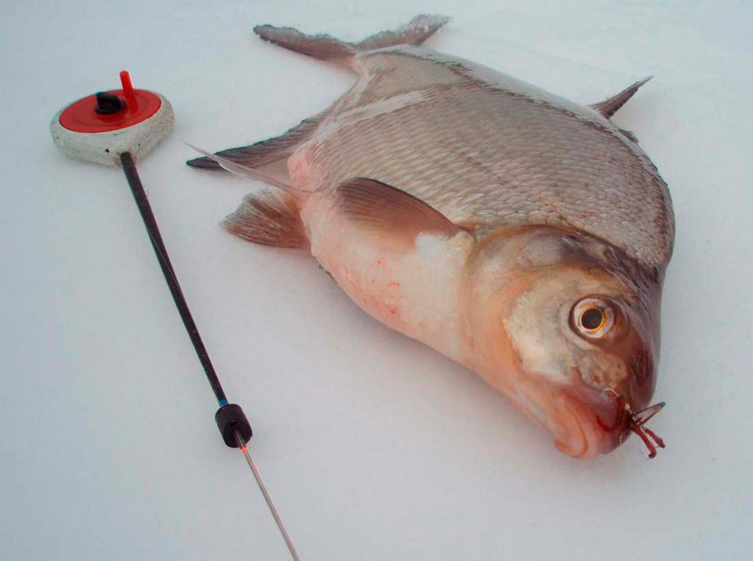 Рыбалка зимой на мормышку: зимние самые удобные удочки для ловли рыбы на мормышку, на течении зимой