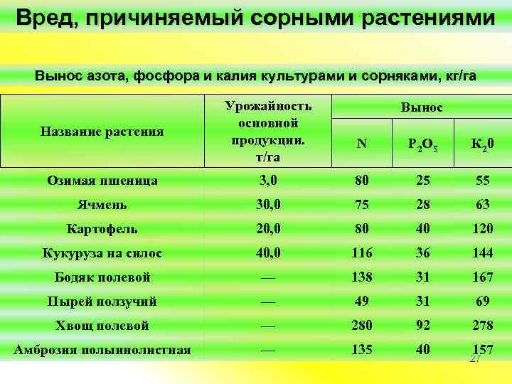 Как делать тесто для хлеба и пиццы, или немного о холодной ферментации