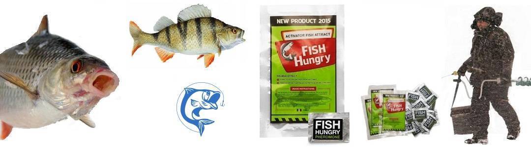 Fish hungry (фиш хангри) для рыбалки реальные отзывы | активатор клева fishhungry развод или нет