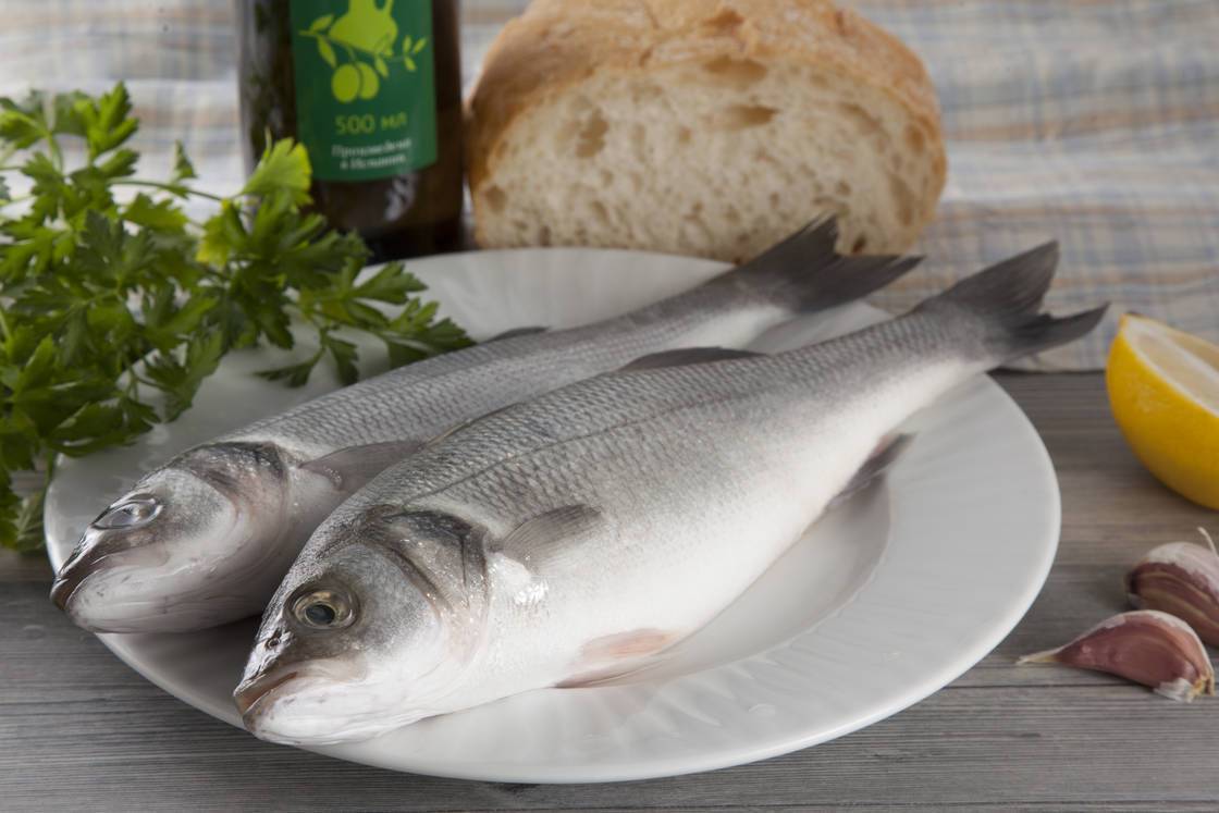 Рыба сибас (45 фото): характеристика, места и условия обитания, чилийский аналог сибаса, пищевая ценность и использование в кулинарии