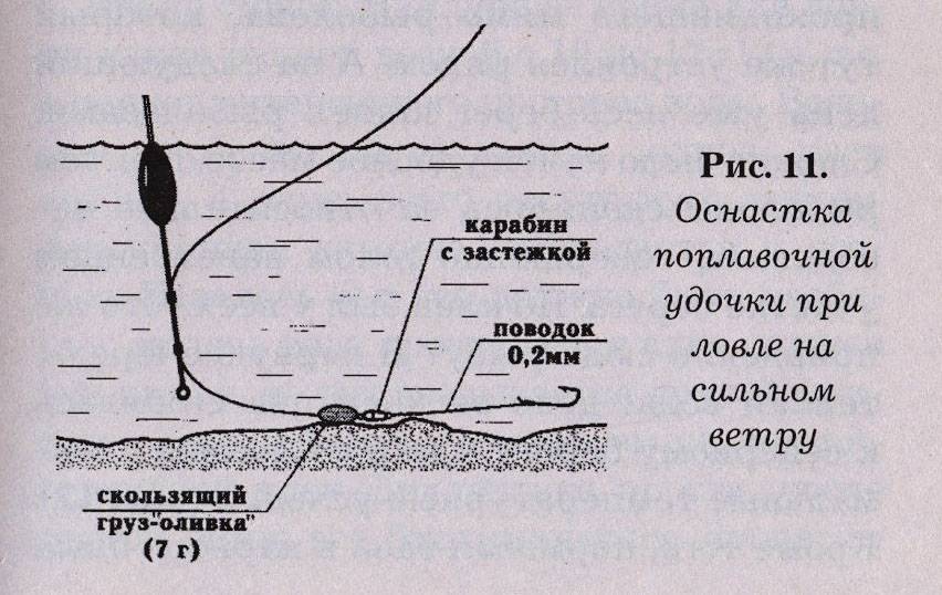Отчет о рыбалке на реке пра в рязанской области