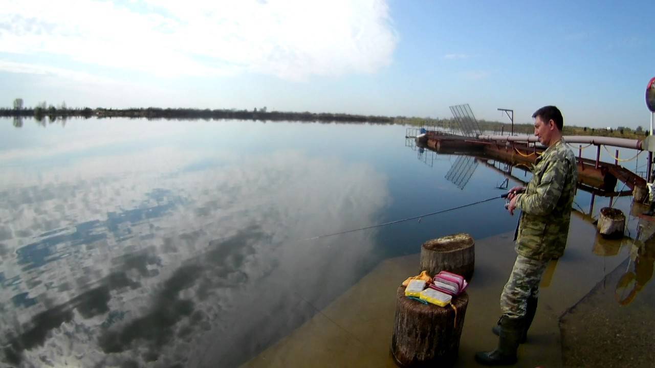 Обзор платной и бесплатной рыбалки в поселке бисерево — в московской области
