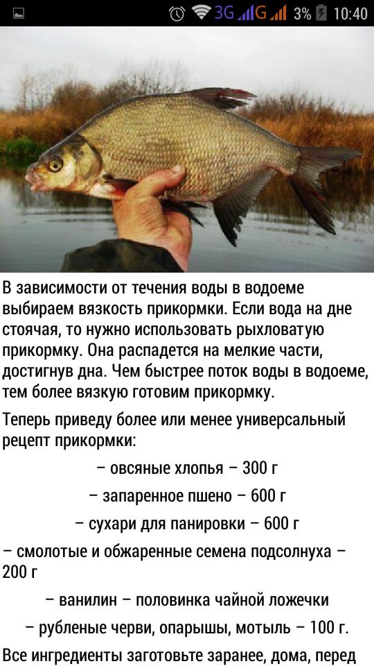 Прикормка для рыбалки - рецепты, советы по применению