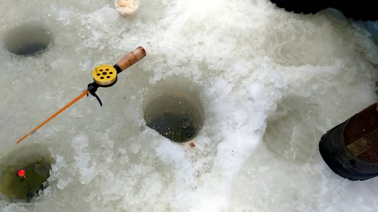 Ловля карпа зимой со льда - рыбколов!