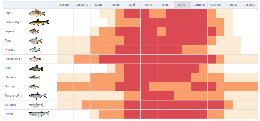 Сроки лова. Таблица активности клёва рыбы. Календарь клева хищной рыбы 2022. Таблица клева рыбы по месяцам на 2022 год. Таблицы клёва мирной рыбы.