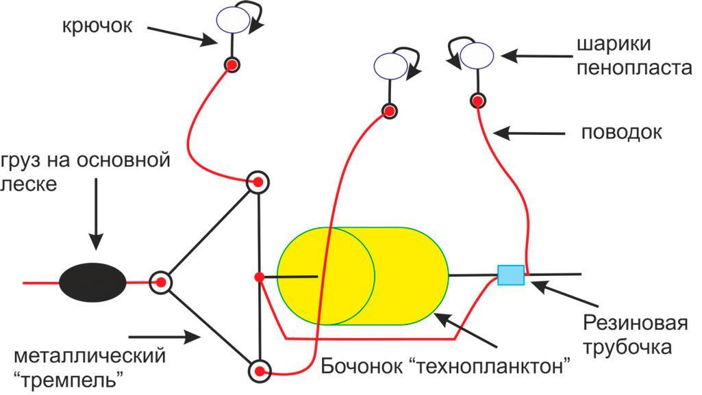 Схема снасти на толстолоба