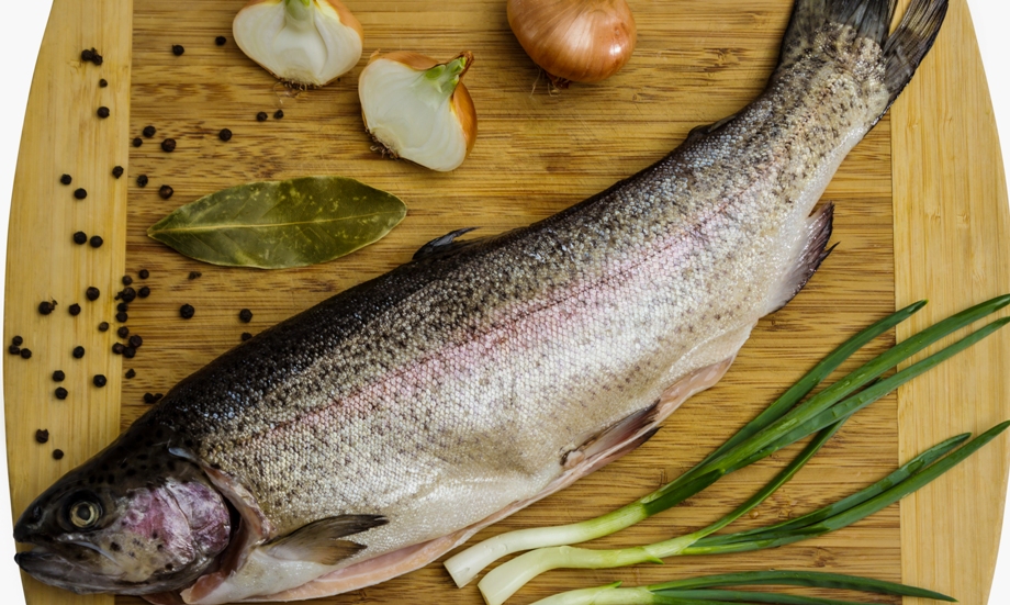 Рыба чавыча – фото и польза этого деликатеса