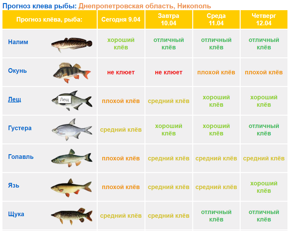 Календарь рыболова на 2021 год по месяцам и дням: когда клюет рыба