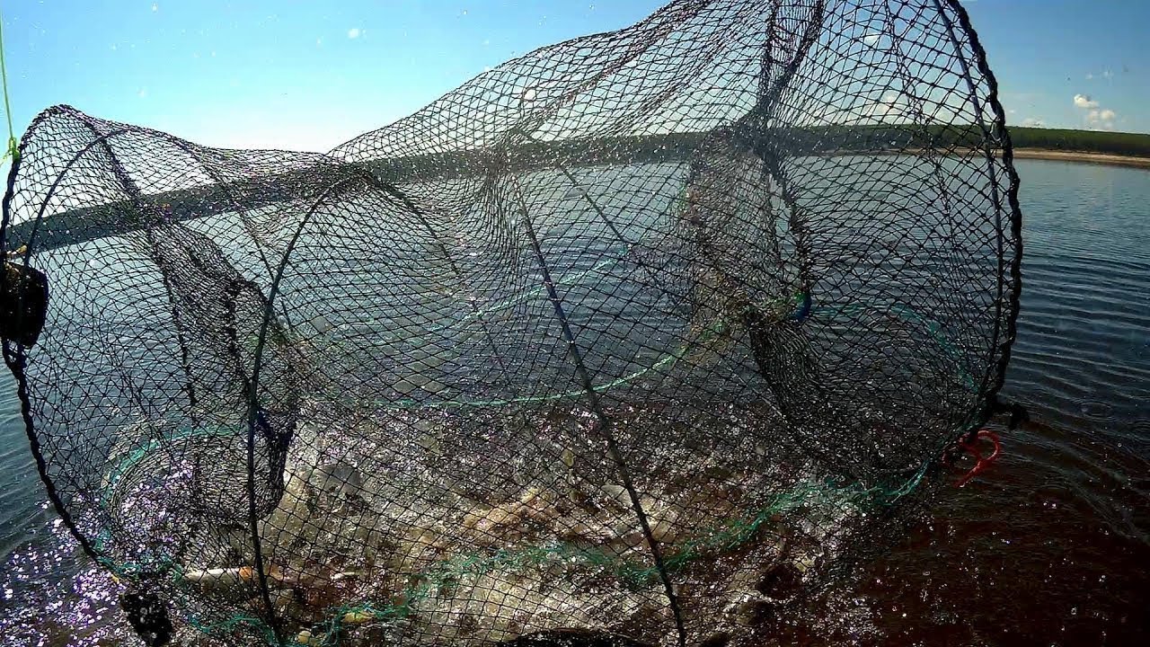 Как сделать морду для ловли рыбы своими руками. Смотреть фото Как сделать морду для ловли рыбы своими руками. Смотреть картинку Как сделать морду для ловли рыбы своими руками. Картинка про Как сделать морду для ловли рыбы своими руками. Фото Как сделать морду для ловли рыбы своими руками
