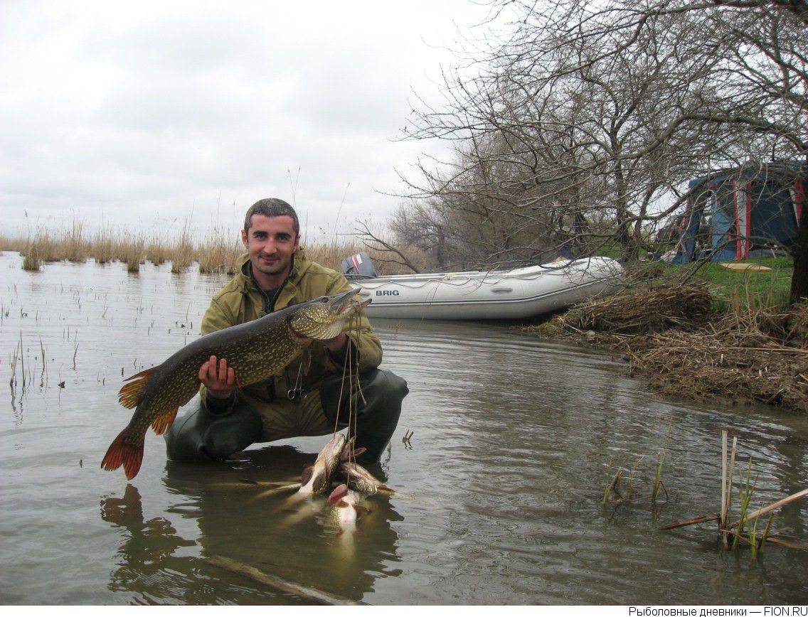 Места для рыбалки в республике хакасия – платная и бесплатная рыбалка!