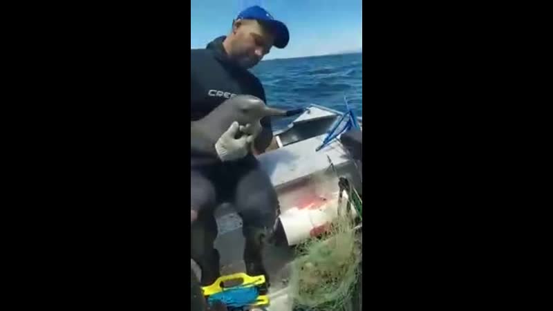 Это судьба: трижды улов щучки на одного дельфинчика
