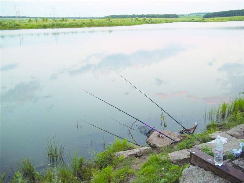 Места для рыбалки в краснодарском крае – платная и бесплатная рыбалка!