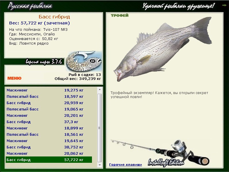 Рыба-белка фото и описание – каталог рыб, смотреть онлайн