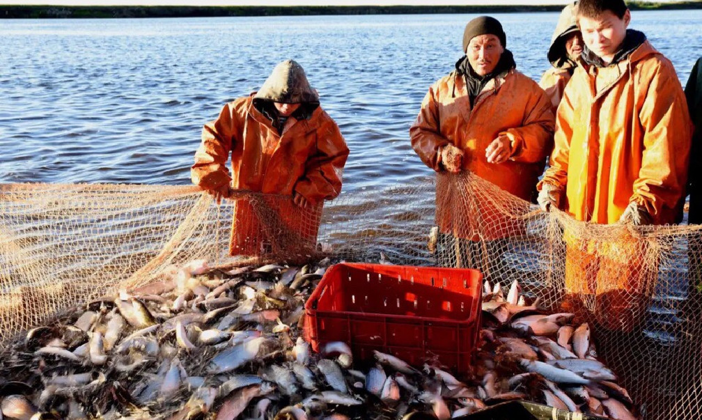 12 лучших рыболовных мест в архангельской области. платные и бесплатные | животный мир