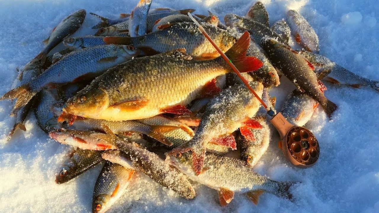 Зимняя рыбалка - хитрости и уловки для хорошего клёва