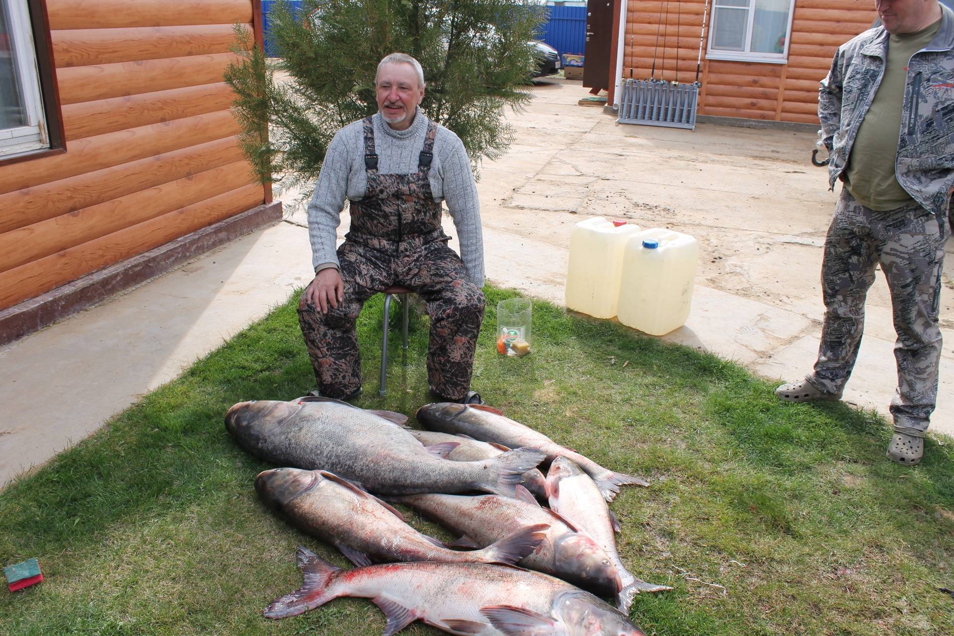 Платная рыбалка в псковской области: рыболовные туры, охотничьи базы и водоемы пскова