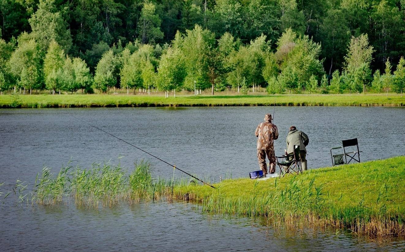 Где ловить рыбу в ленинградской области