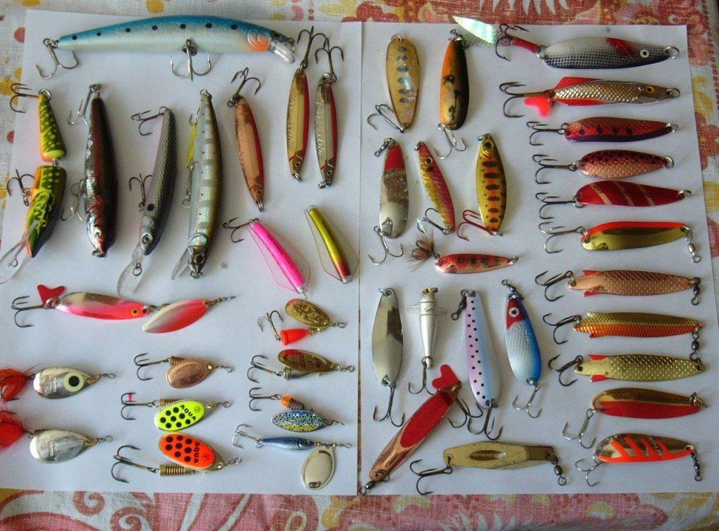 Ловля на джиг для начинающих: виды приманок и проводки, советы по выбору снасти, оснастки, тактики и техники ловли рыбы