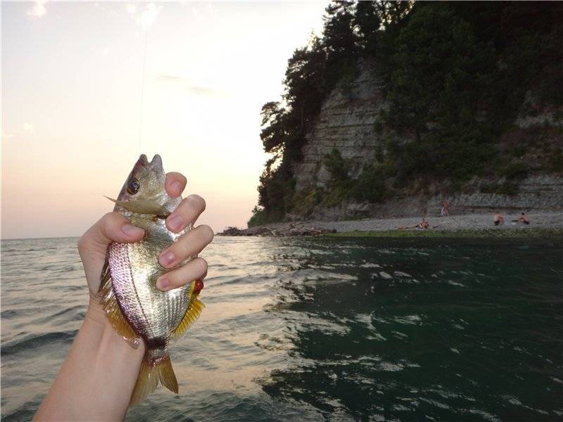 Рыбалка на черном море с берега спиннингом, на блесну. снасти. подводная рыбалка на черном море :: syl.ru