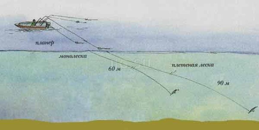 Тонкости тролинговой рыбалки на судака: правильный выбор места, снасти и приманки