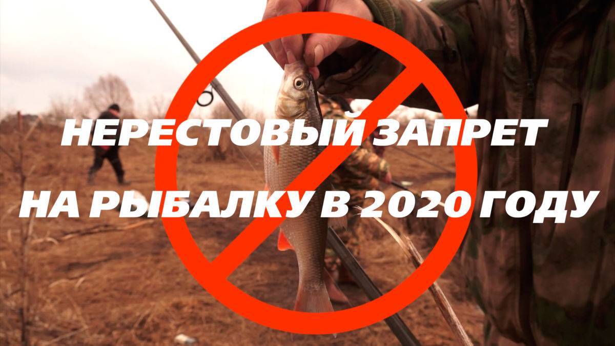 Нерестовый запрет 2021. алтайский край. новый закон о рыбалке