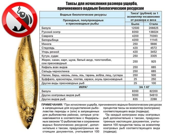Нерестовый запрет 2021 тамбовская область