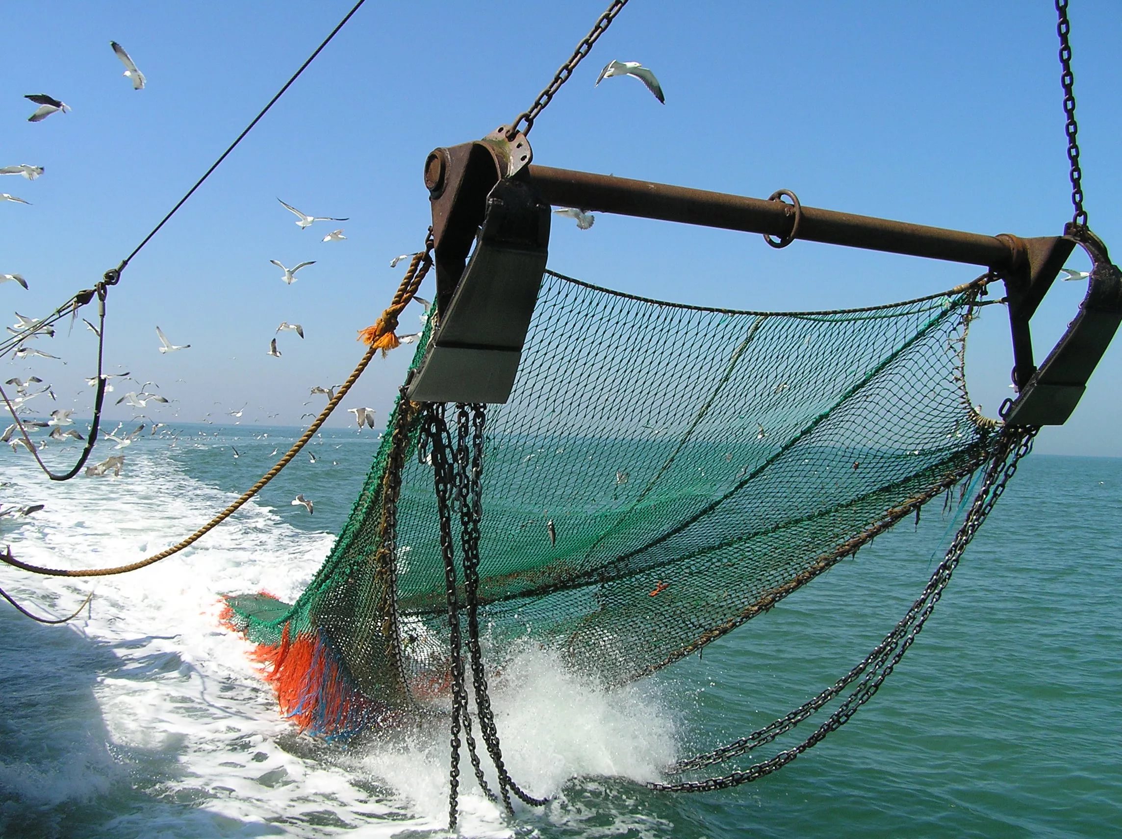 Рыболовные сети – обязательный атрибут промышленной рыбалки